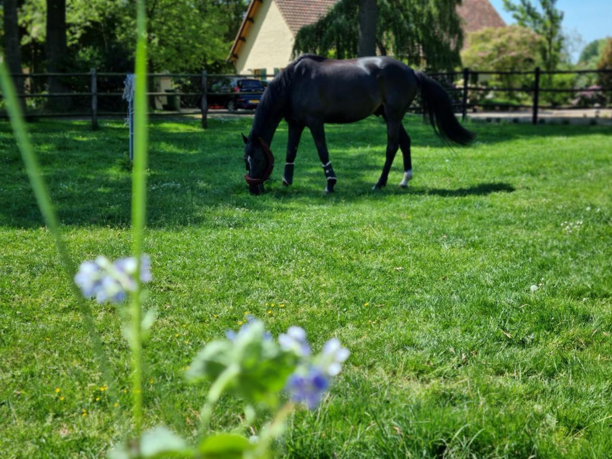 Vakantiewoning Schouwenberg Swalmen エクステリア 写真